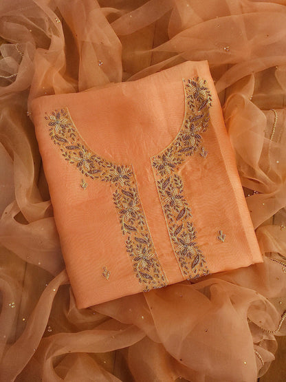 ORGANZA X ZARDOZI - Banarasi Store