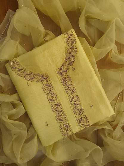 ORGANZA X ZARDOZI - Banarasi Store