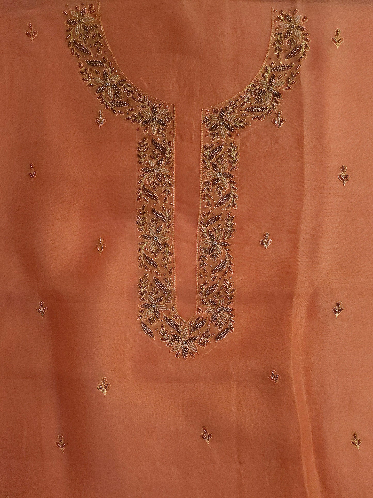 ORGANZA X ZARDOZI - Banarasi Store
