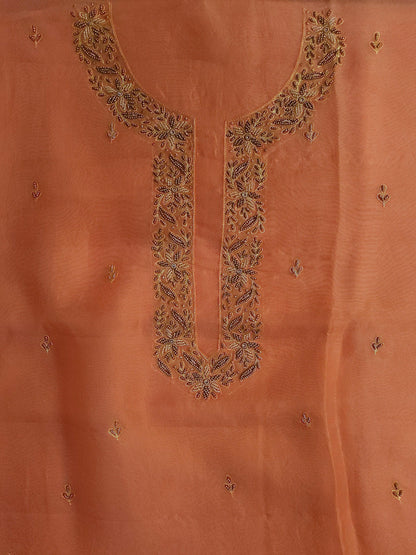 ORGANZA X ZARDOZI - Banarasi Store